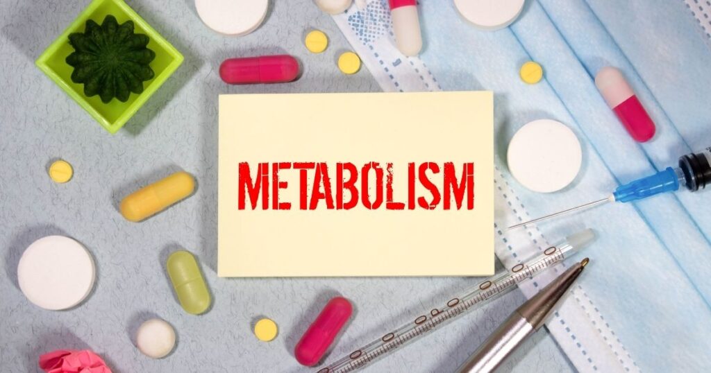 metabolism
